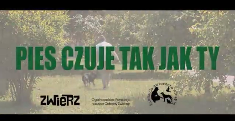 Pies czuja tak jak Ty, akcja promocyjna